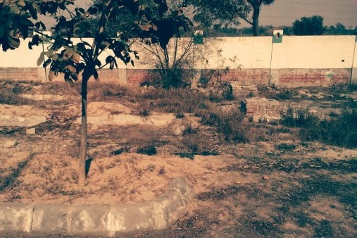 Land and plot in punjab